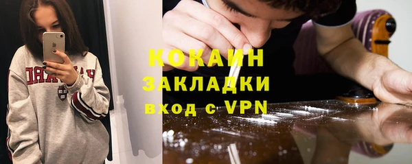 шишки Лиски