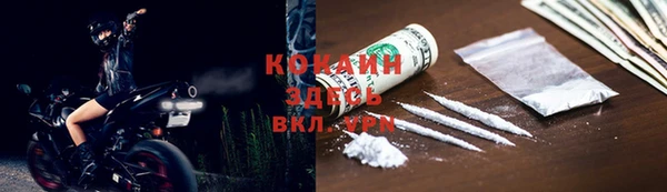 гашик Бородино