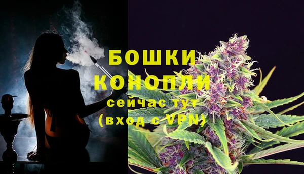 винт Лабытнанги